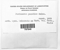 Image Associated With the Occurence